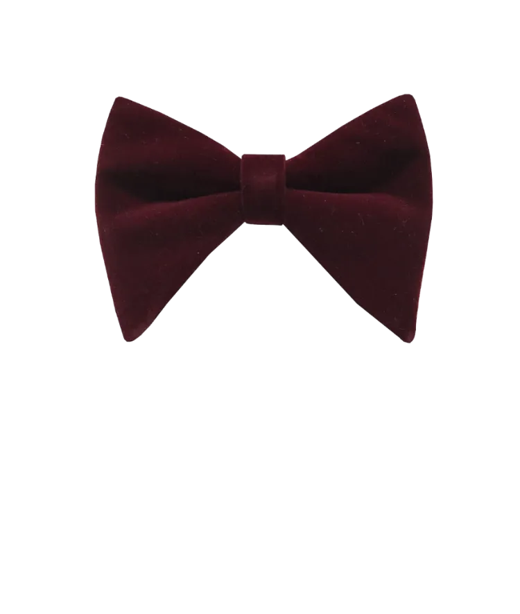 Burgundy velvet bowtie and pocket square