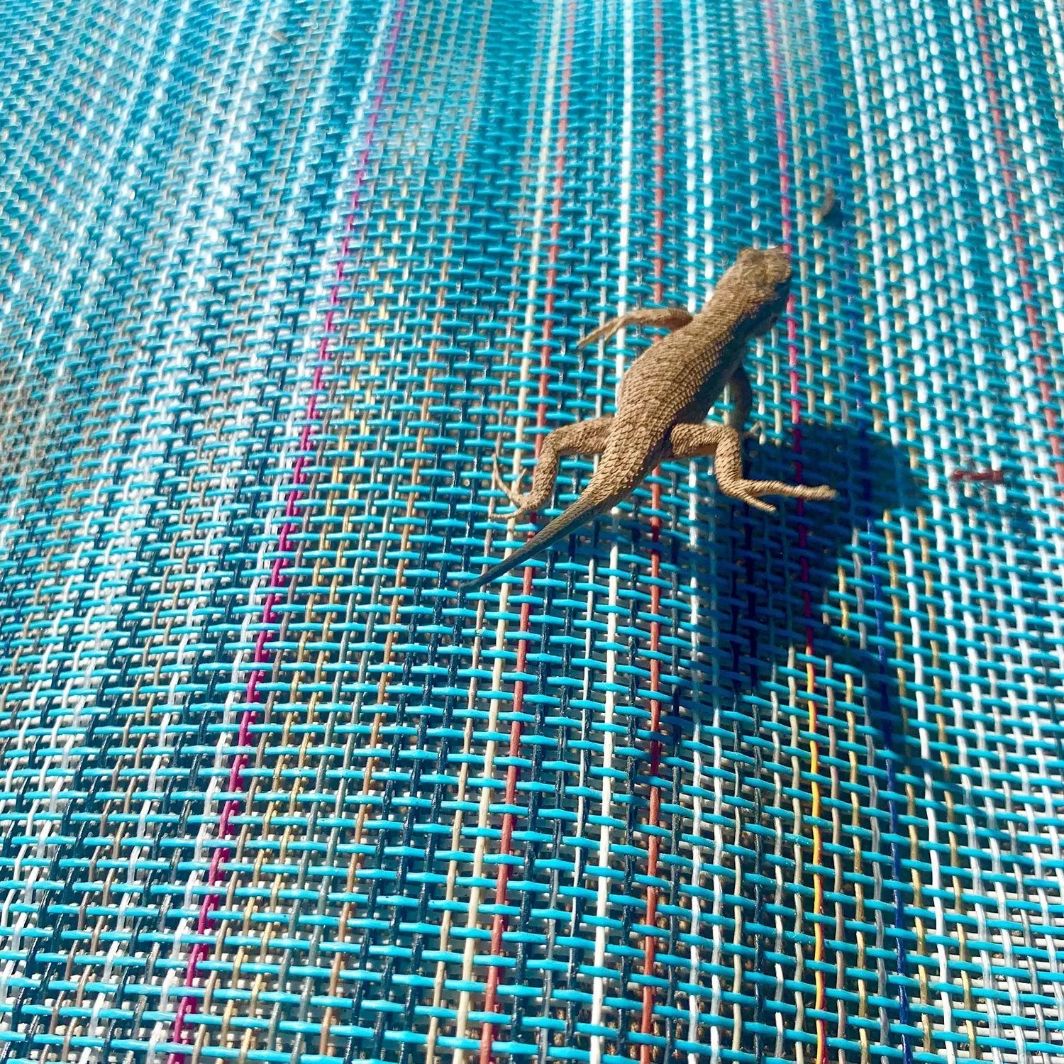 Gili Eco-Friendly Changing Mat